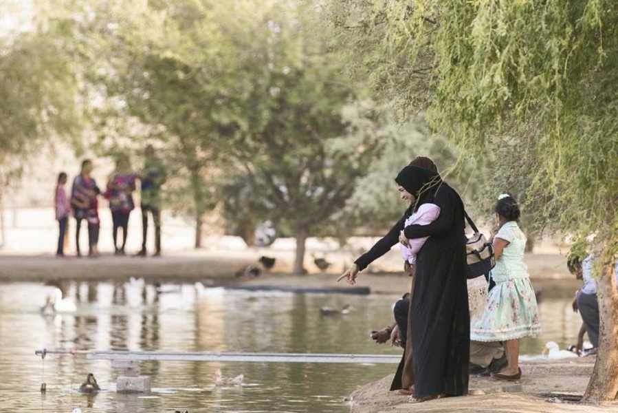 Dog walking and camping now banned at Al Qudra Lakes