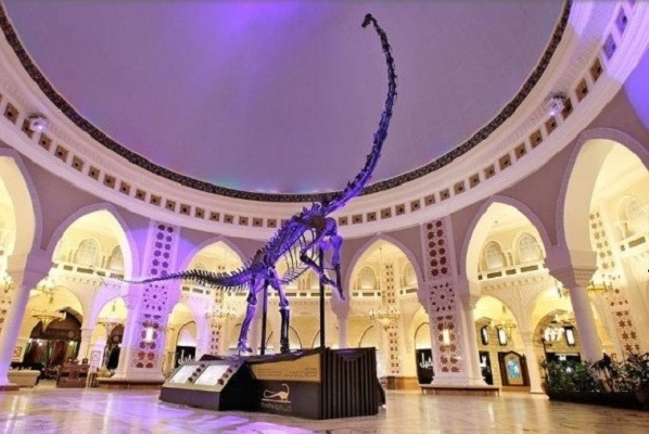 В Дубае пройдет первый на Ближнем Востоке аукцион скелетов динозавров 