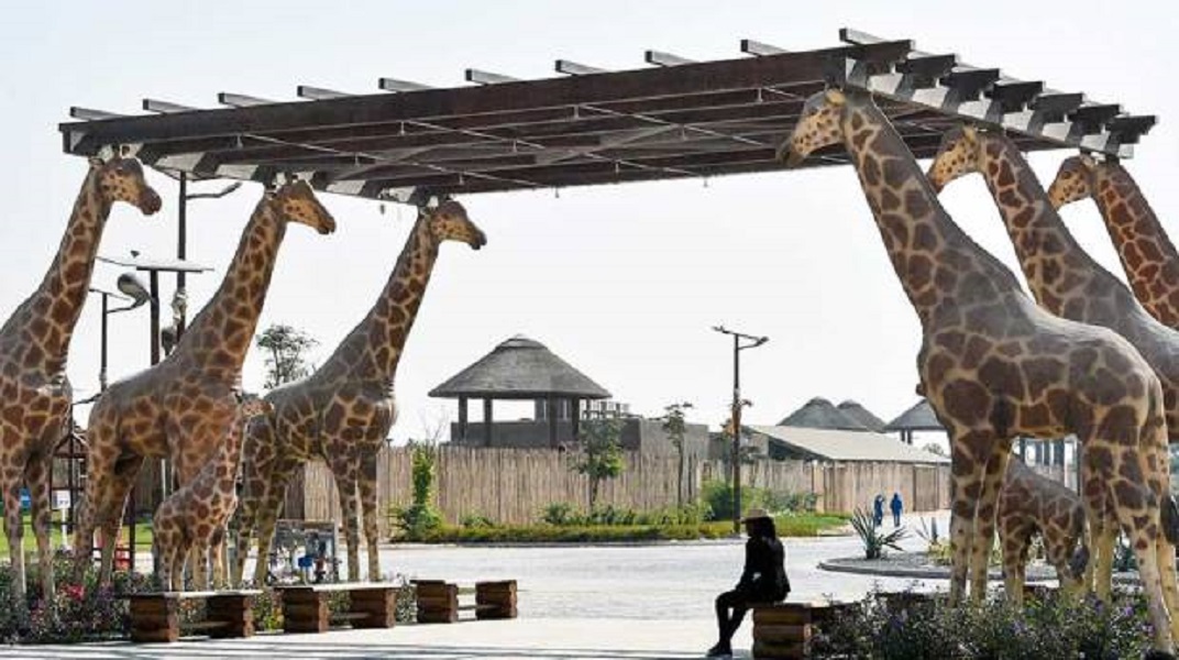 Сафари парк дубай. Dubai Safari Park в Дубае. Сафари Zoo Дубай. Зоопарк Dubai Safari Park.