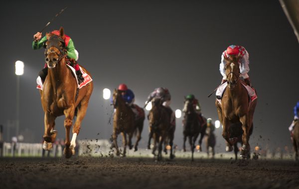 Скачки за миллионами Dubai World Cup