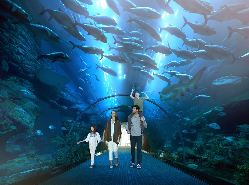 Experience Dubai in a different light this summer with My Emirates Pass