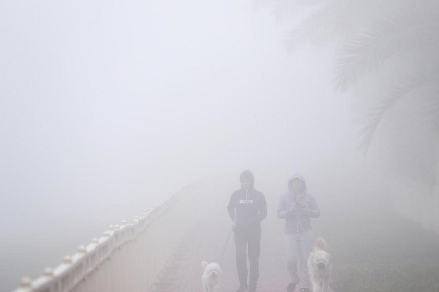 Fog in UAE: thick clouds cause more traffic delays and poor visibility