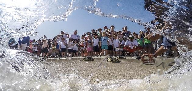 Jumeirah&#039;s Dubai Turtle Rehabilitation Project (DTRP) rehabilitates 75 turtles