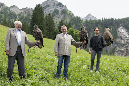 Chopard萧邦全新Alpine Eagle经典重生