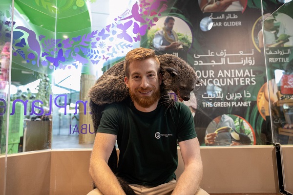 Meet the region’s first ever bearcat at The Green Planet, Dubai