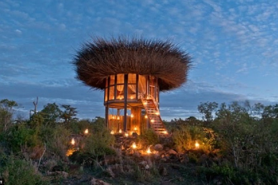 The world&#039;s first five-star bird’s nest opens in Kenya