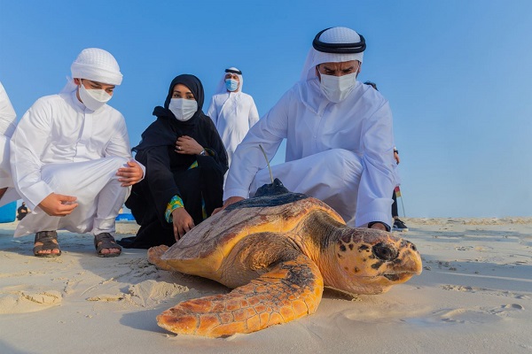 Abu Dhabi Sea Turtle Rehabilitation Project set to expand under new agreement