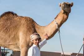 Learning Emirati tradition is more fun at Heritage Winter Camp