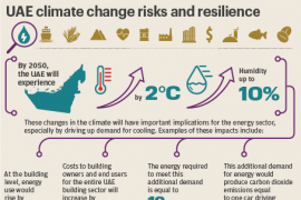 Эмиратам предсказывают смену климата