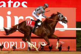 Dubai World Cup winner California Chrome is richest horse in history