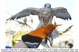 Abu Dhabi’s Emirates Park Zoo &amp; Resort celebrates World Falconry Day today with fun and educational activities