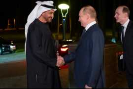 UAE President meets President Putin ahead of BRICS summit in Russia