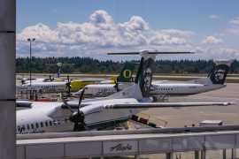 Airport worker stole Alaska Airlines plane and crashed