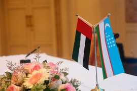 UAE, Uzbekistan review strengthening economic ties