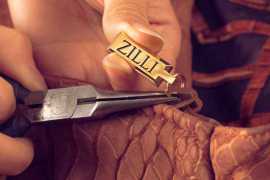 Zilli’s style confident man