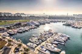 Newcomers at Yas Marina