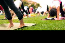 Mass yoga session on Friday at Zabeel Park