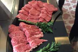 JETRO: Bringing Authentic Japenese Taste