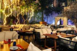 All You Can Eat Dim Sum at Toko