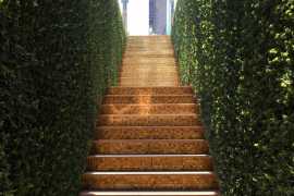 Steigenberger Reveals the Secret…