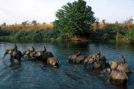 Kinshasa joins flydubai’s growing network in Africa