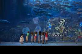 Immerse in Festive Fun with Emaar Entertainment